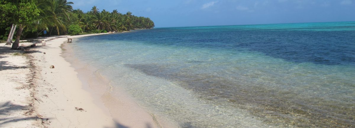 The Blog of Tim Schmitz