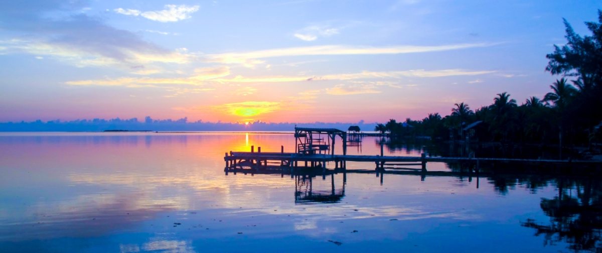 The Blog of Tim Schmitz