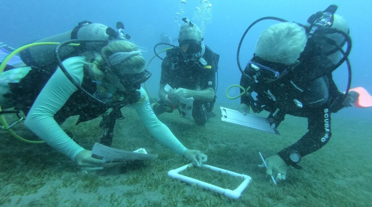 The Blog of Tim Schmitz